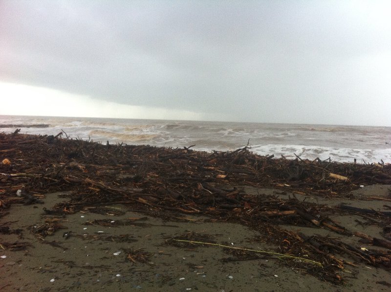 detriti spiaggia