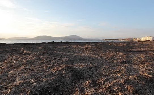 alghero