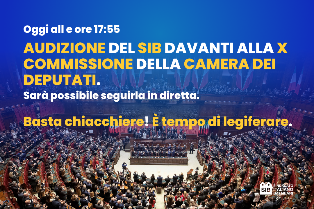 sib-audizione-camera-dei-deputati-2023