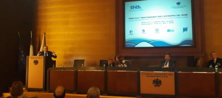 conf enea