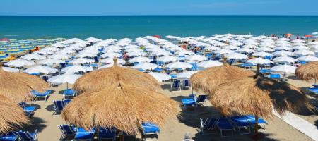mare